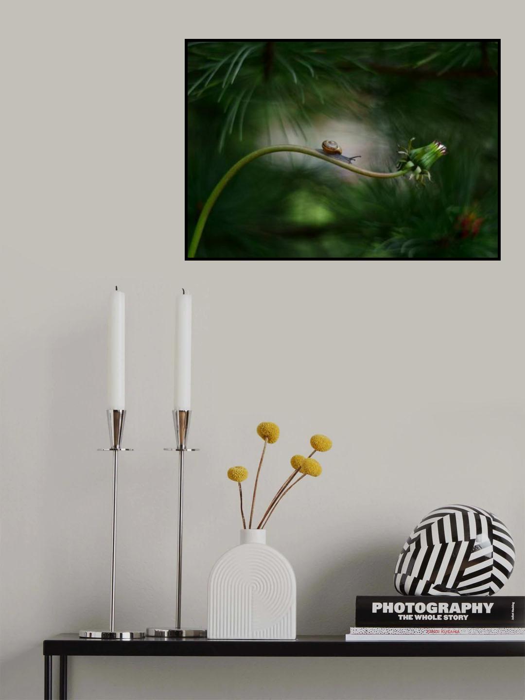 Forest nook Poster och Canvastavla