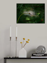 Forest nook Poster och Canvastavla