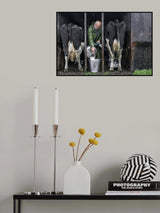 Milking, the old fashioned way, in 2021. Poster och Canvastavla