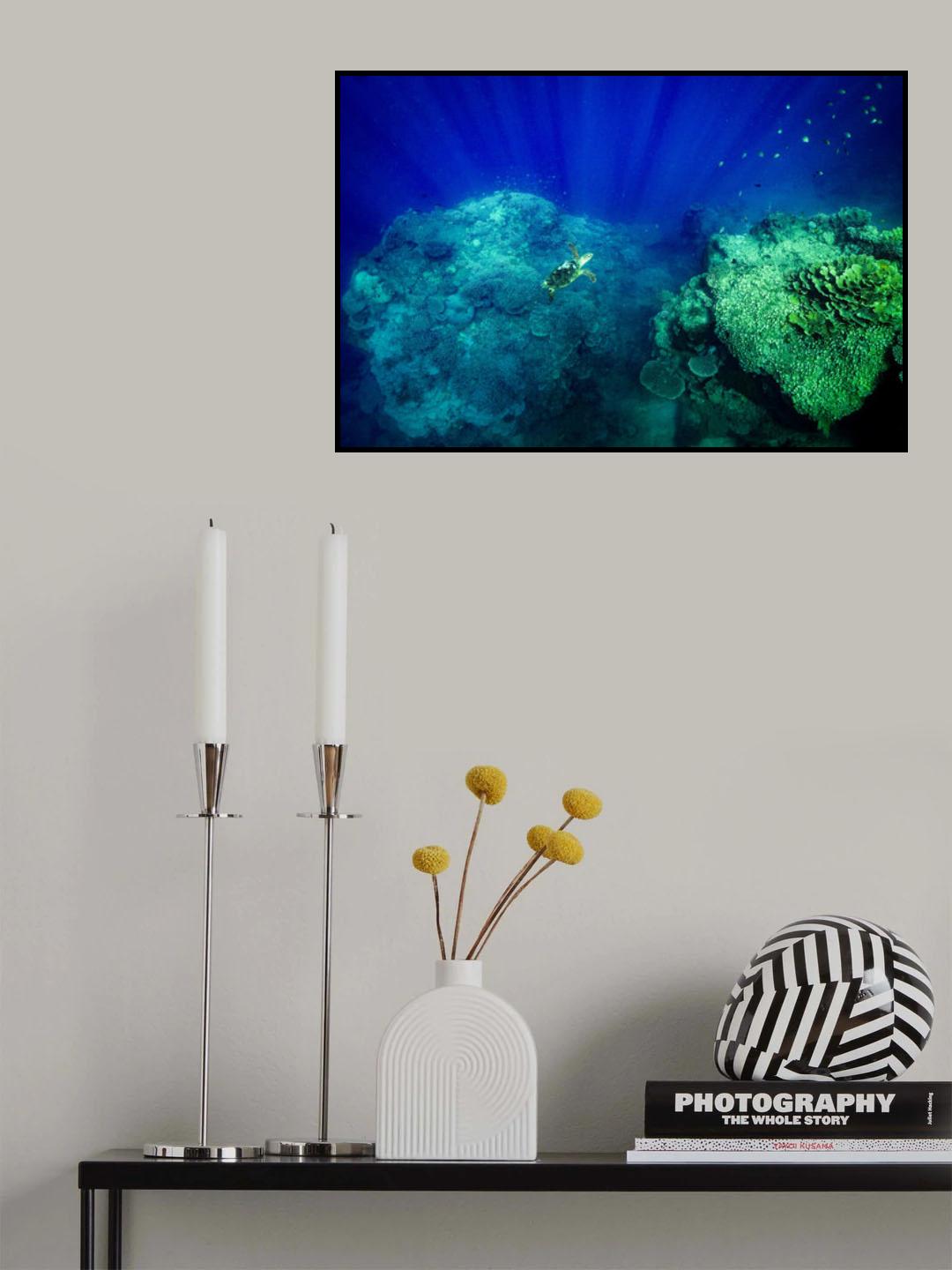 Into the light Poster och Canvastavla