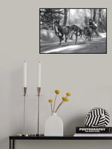 Race Poster och Canvastavla