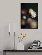Night Active Poster och Canvastavla