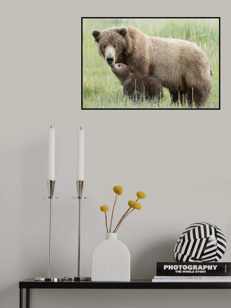 Mother Bear and Cub Moment Poster och Canvastavla