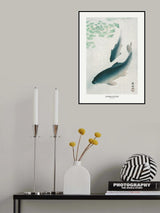 Carp Or Koi Poster och Canvastavla