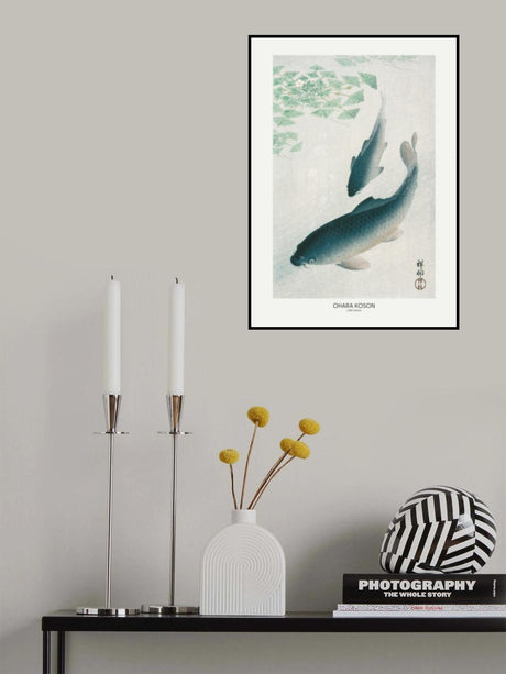 Carp Or Koi Poster och Canvastavla