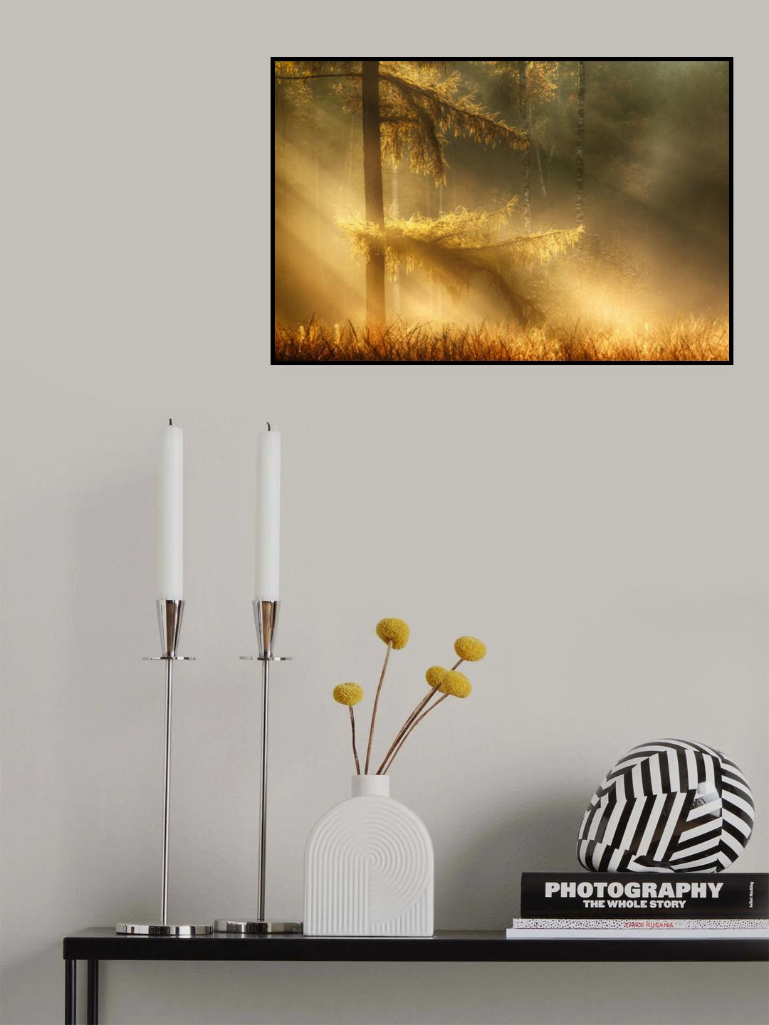 autumn light Poster och Canvastavla