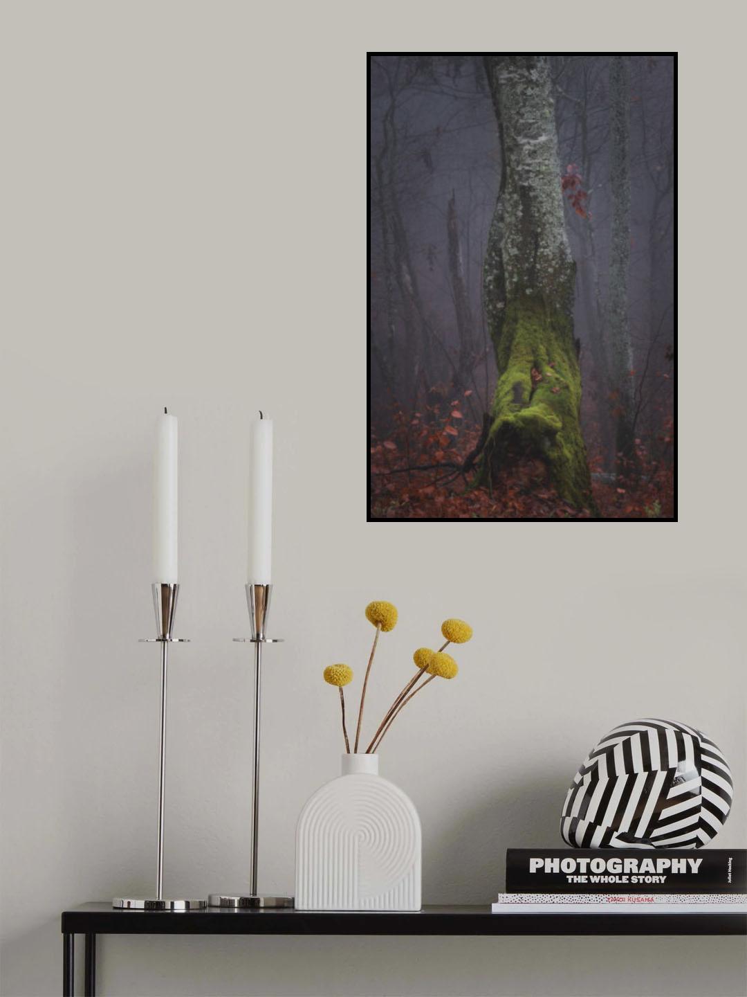 Autumn fog morning tree Poster och Canvastavla