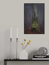 Autumn fog morning tree Poster och Canvastavla