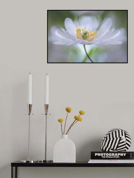 Nemorosa Nirvana Poster och Canvastavla