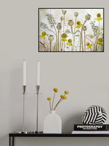 Poppies and Helenium Poster och Canvastavla