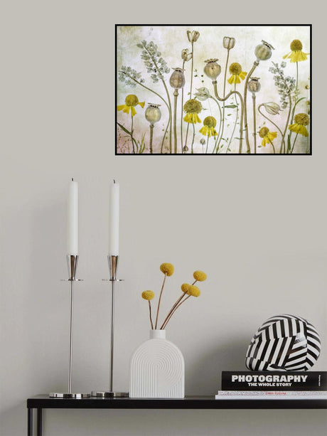 Poppies and Helenium Poster och Canvastavla