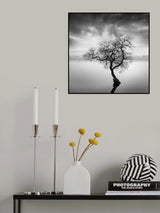 The Shape of Trees XX Poster och Canvastavla