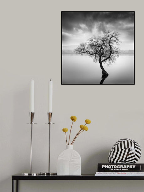 The Shape of Trees XX Poster och Canvastavla