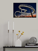 Tiger and Turtle at dawn Poster och Canvastavla