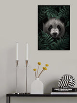 Panda Bear In The Forest Poster och Canvastavla