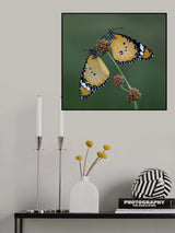 Mr and Mrs African Queen Poster och Canvastavla
