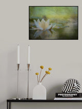 Nymphaea Poster och Canvastavla