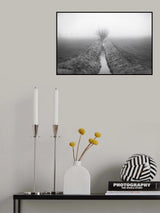 about isolation VII Poster och Canvastavla
