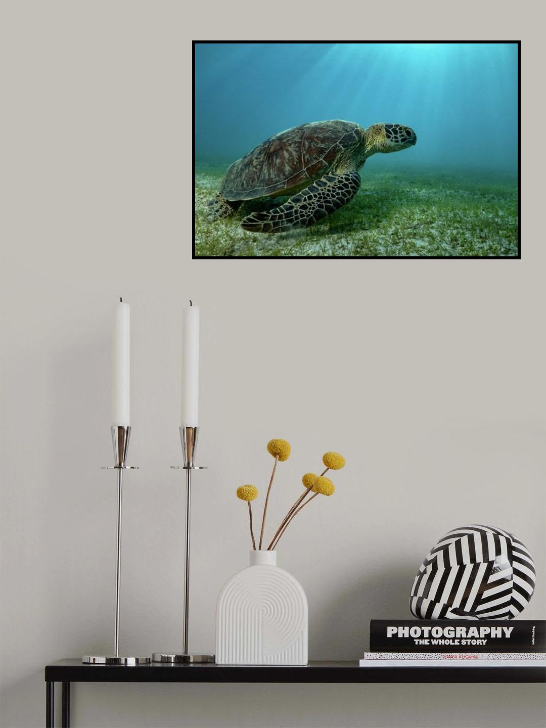 Into the light Poster och Canvastavla