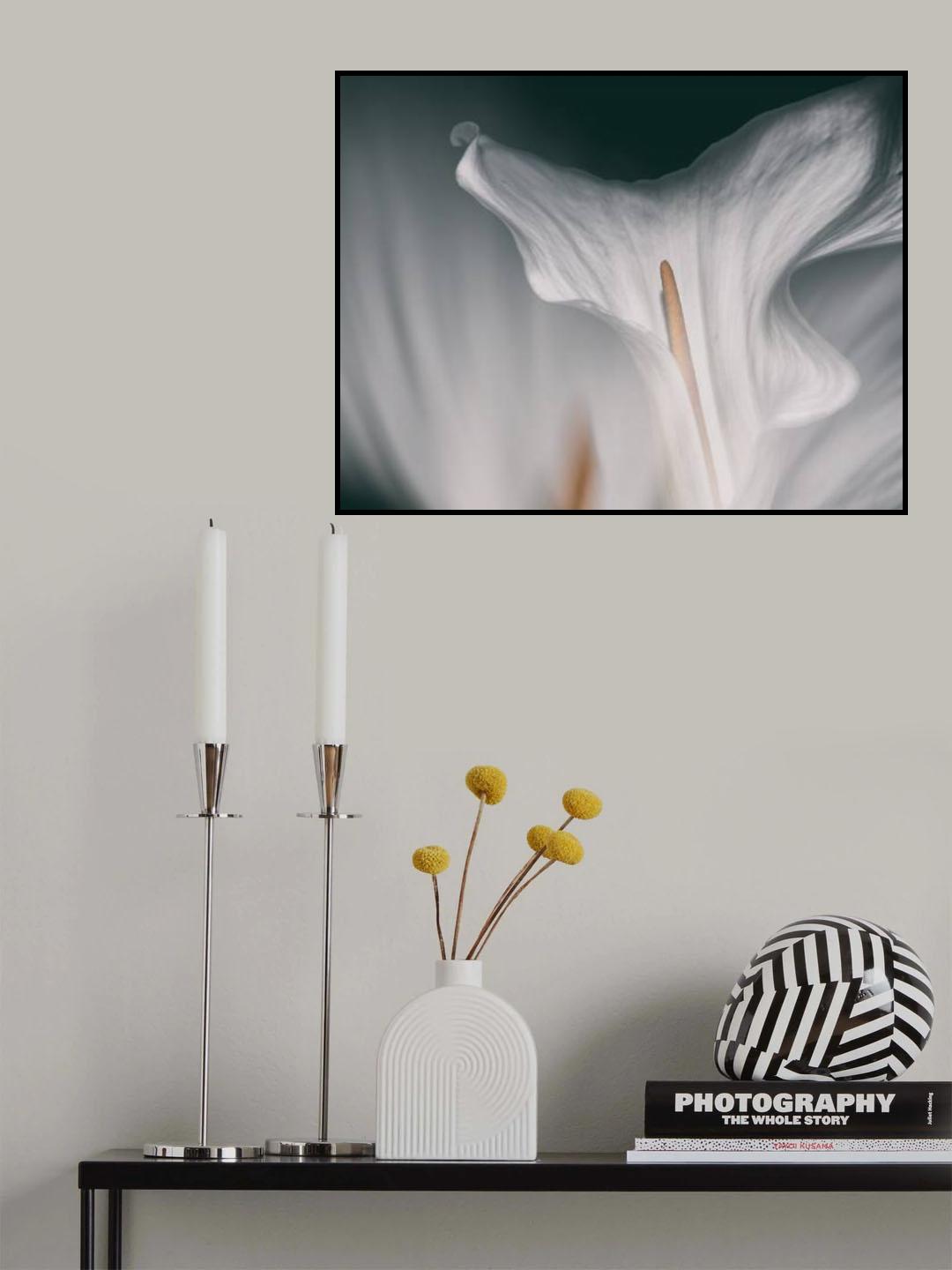 Flower calla Poster och Canvastavla