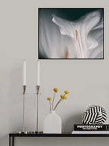 Flower calla Poster och Canvastavla