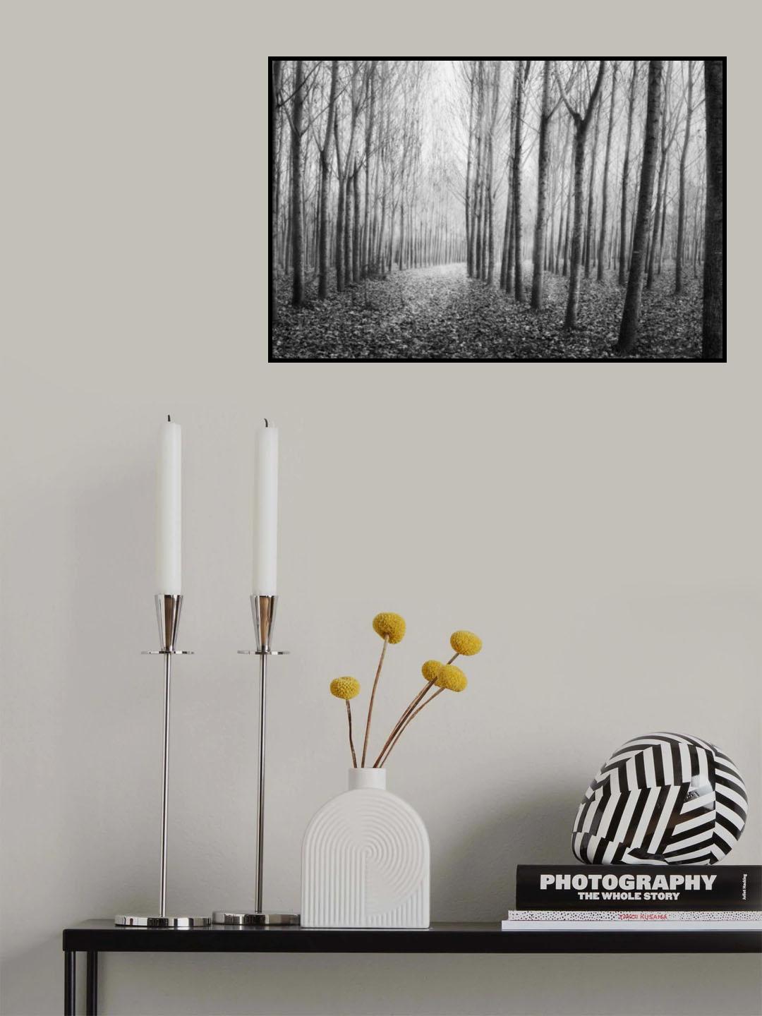 Autumn Mist Poster och Canvastavla