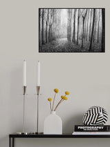 Autumn Mist Poster och Canvastavla