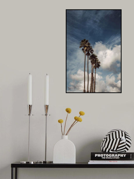 Palms and Clouds Poster och Canvastavla