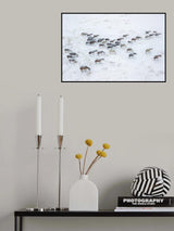 Wild Horses Poster och Canvastavla