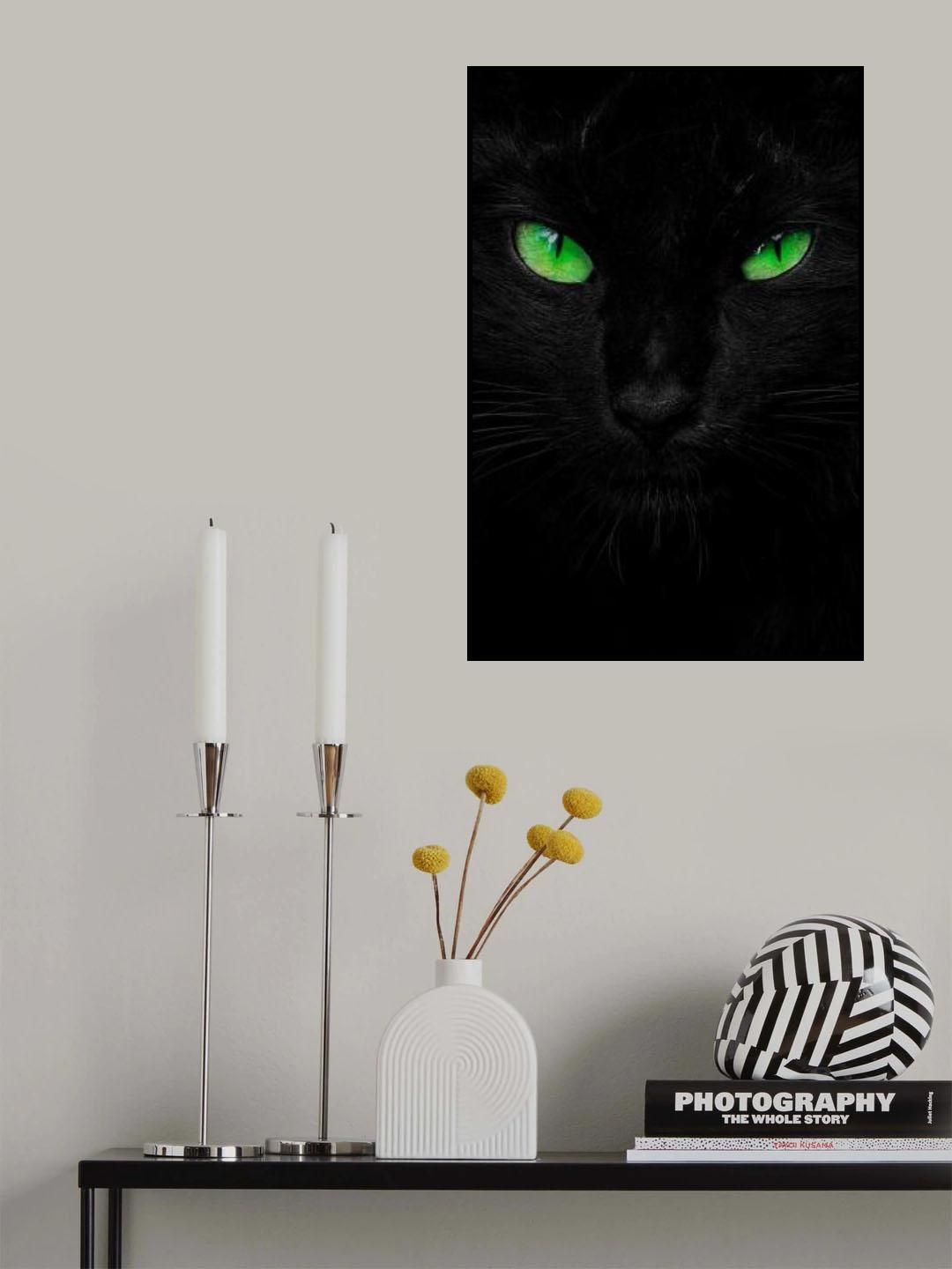 The Viridescent Stare Poster och Canvastavla