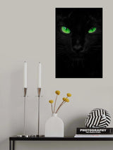 The Viridescent Stare Poster och Canvastavla