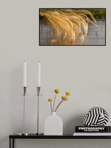 Floaty Sails Poster och Canvastavla