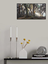 Sacred Pine Trees Poster och Canvastavla