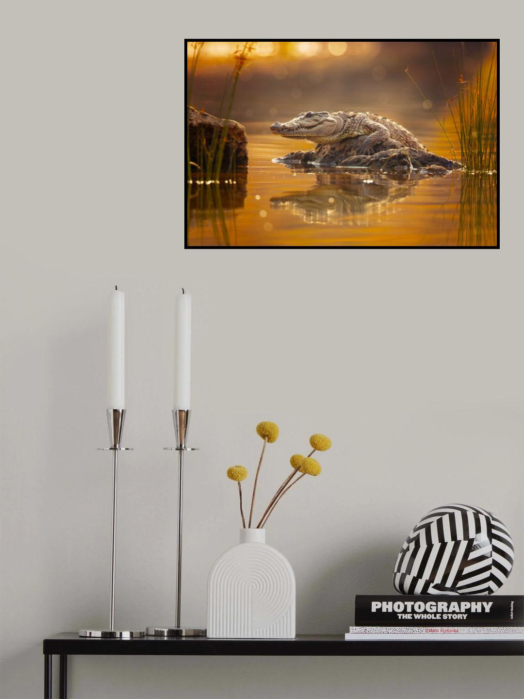 Mugger crocodile Poster och Canvastavla