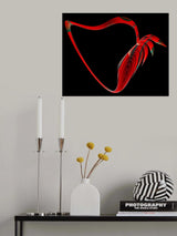 Flying Heart Poster och Canvastavla