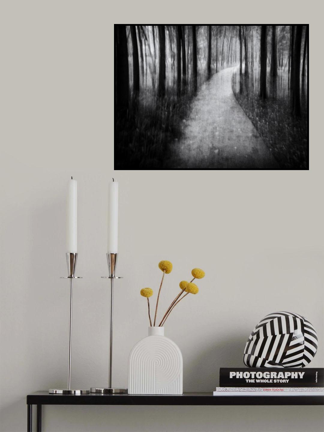 Path in the Woods Poster och Canvastavla