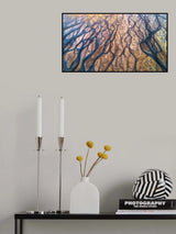 The Earth Veins Poster och Canvastavla