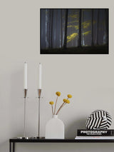 Foggy morning Poster och Canvastavla