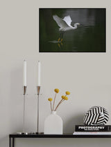 Gliding Poster och Canvastavla