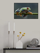 Poster och Canvastavla