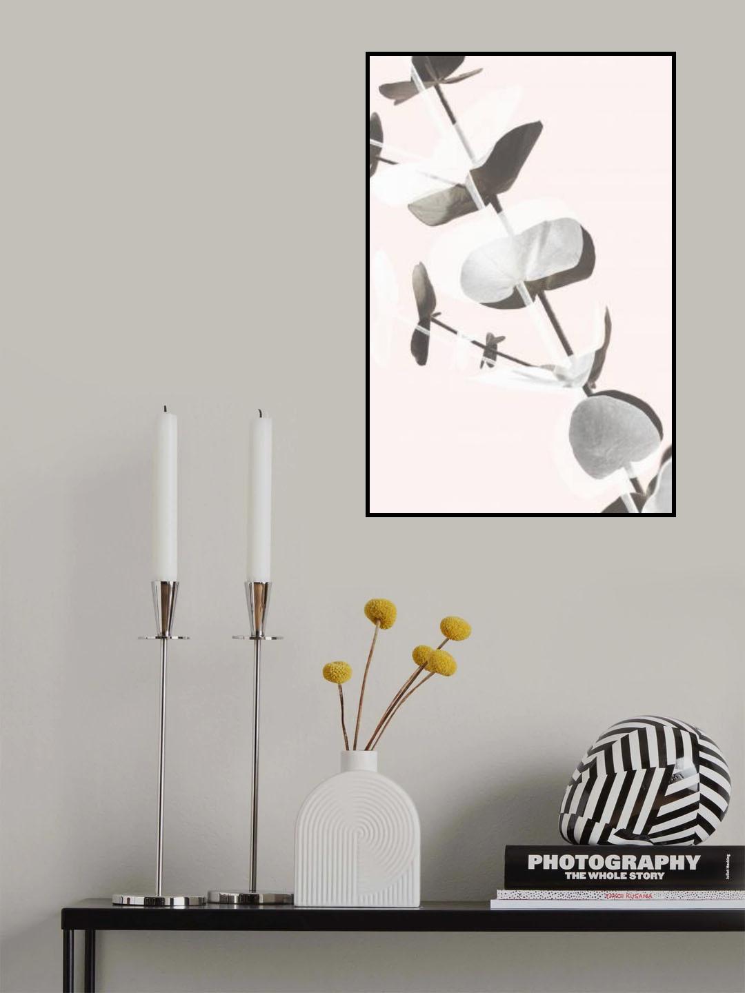 Eucalyptus Creative 13 Poster och Canvastavla