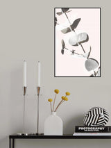 Eucalyptus Creative 13 Poster och Canvastavla