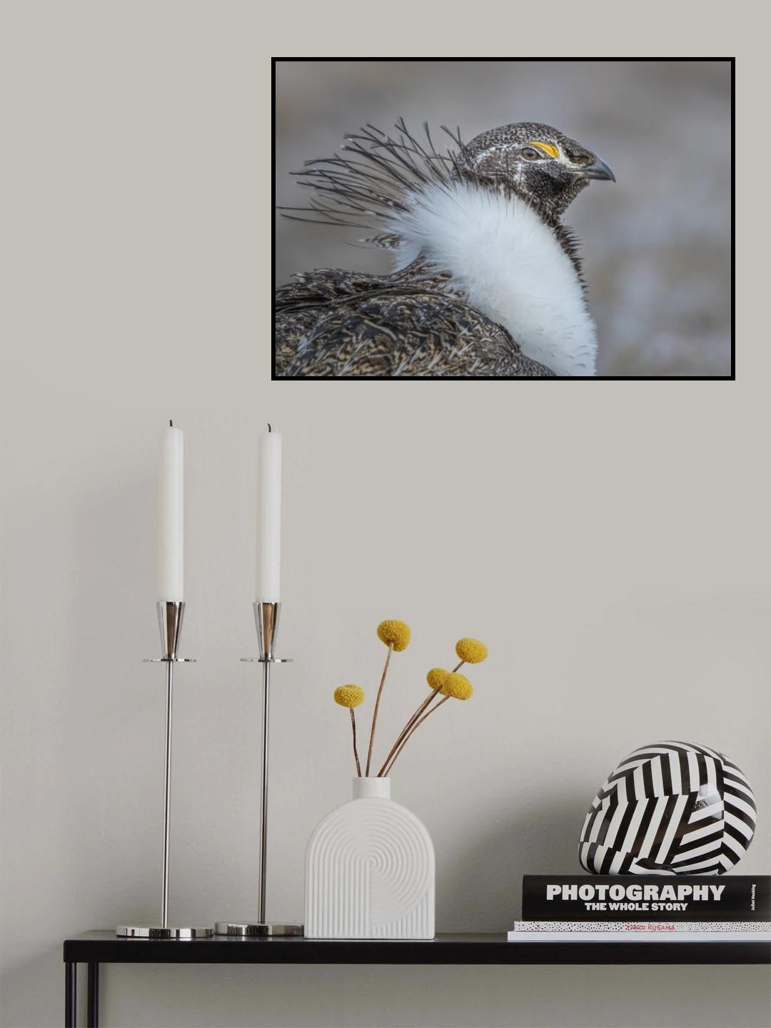 Proud Grouse Poster och Canvastavla