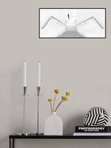 Black in white surroundings.....! Poster och Canvastavla