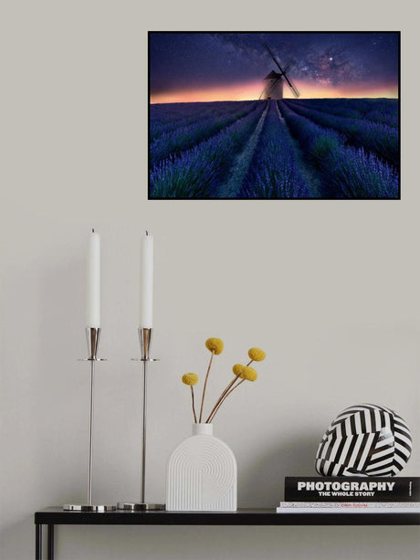 Lavender night Poster och Canvastavla