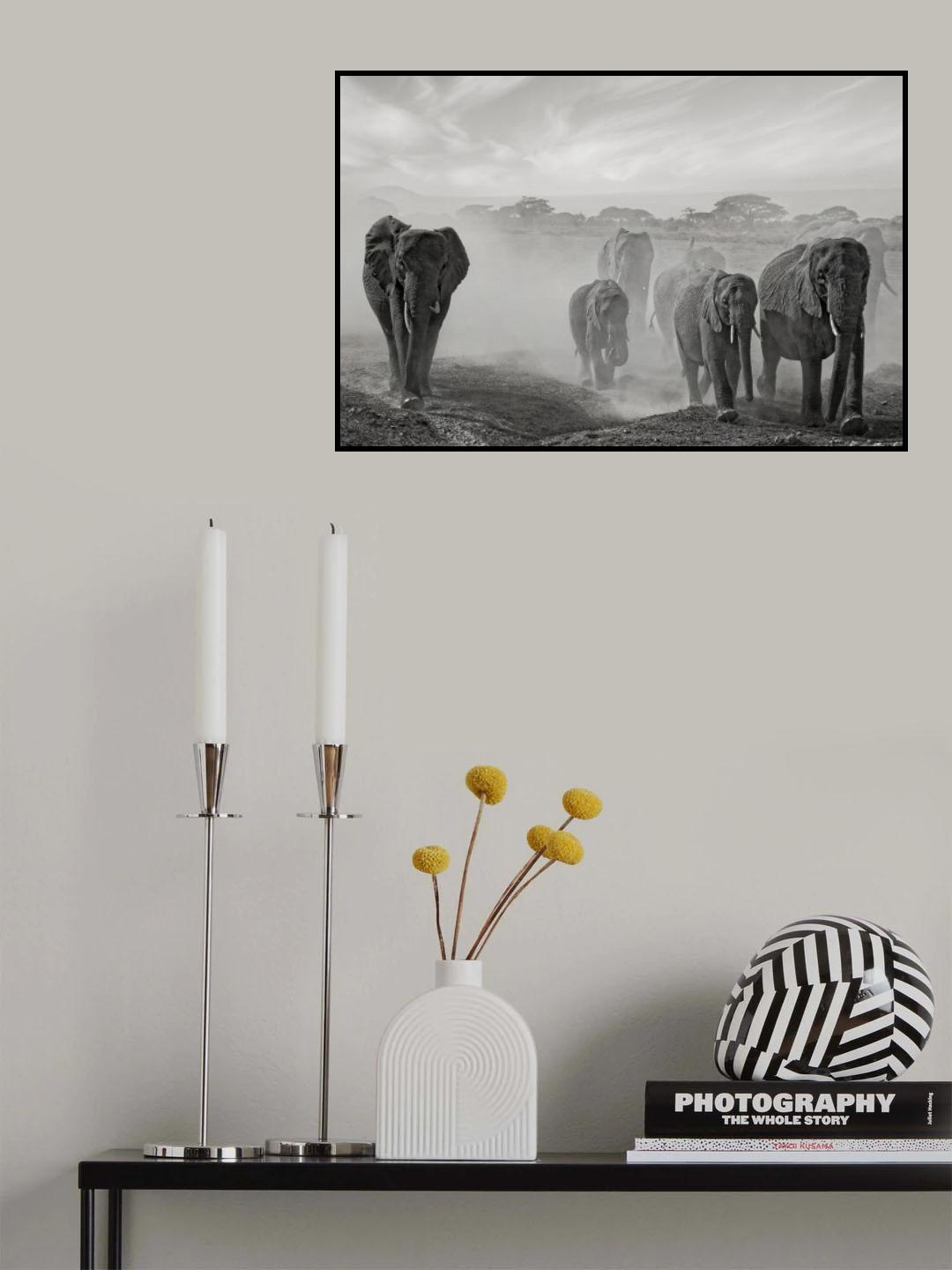 Sequence of emotion Poster och Canvastavla