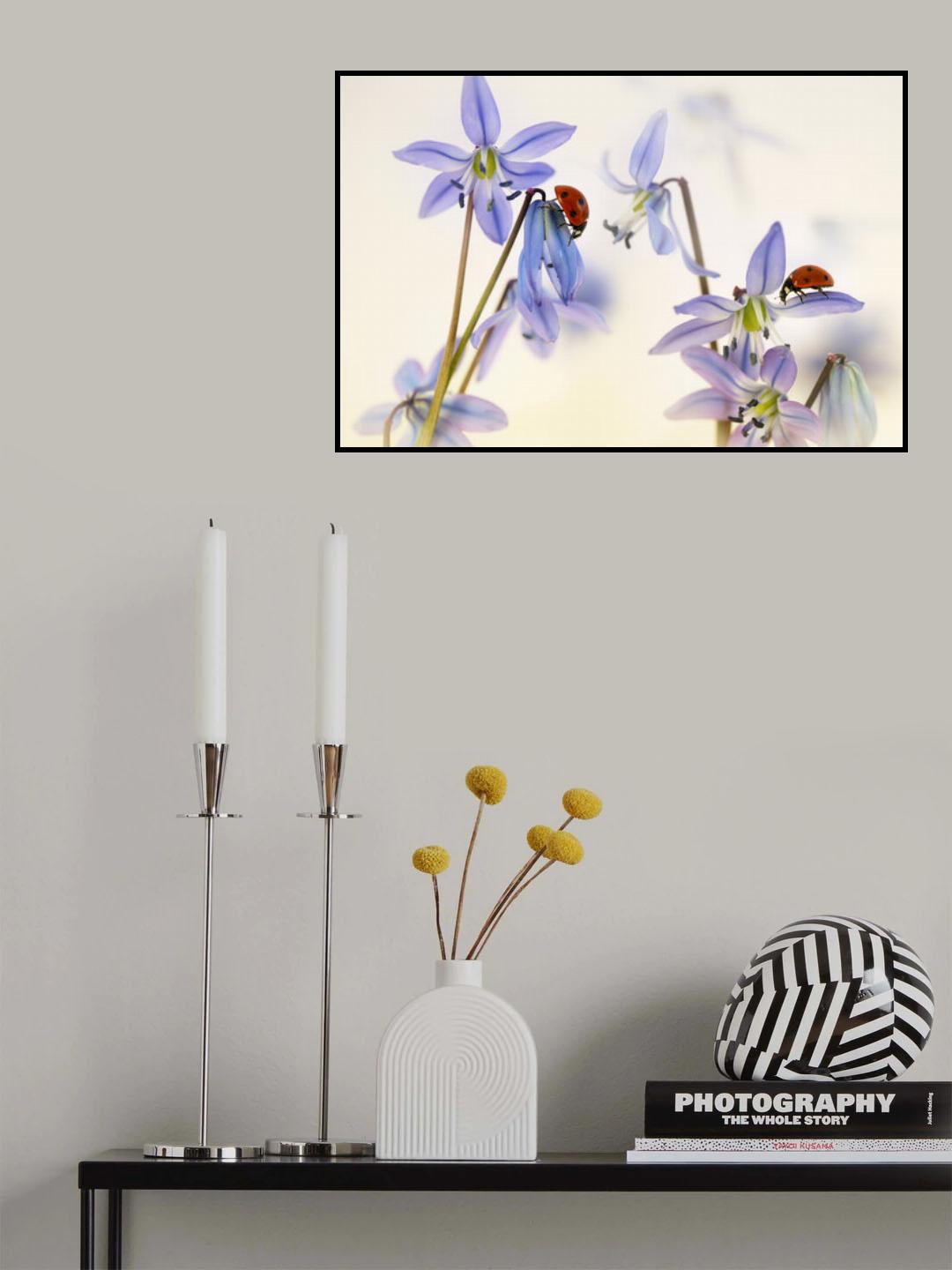 Springtime (Ladybirds with Scilla Siberica) Poster och Canvastavla