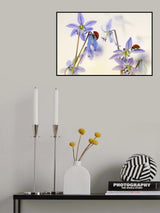 Springtime (Ladybirds with Scilla Siberica) Poster och Canvastavla
