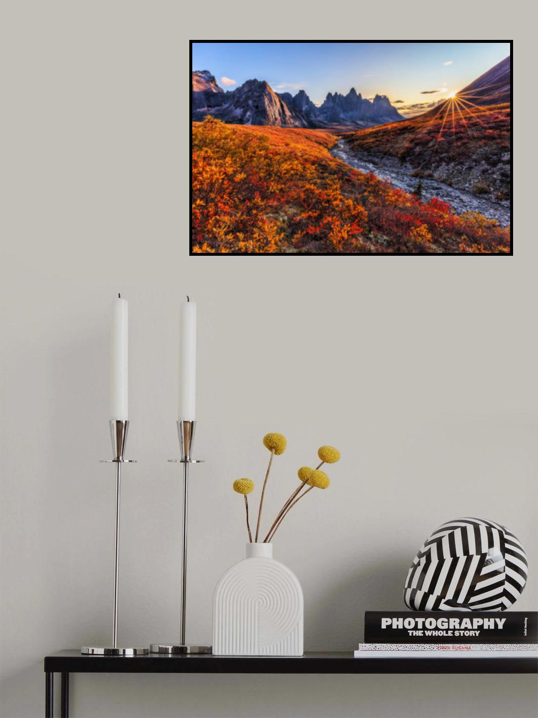 Fall Color Poster och Canvastavla