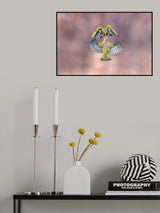 Wings &amp; beak Poster och Canvastavla